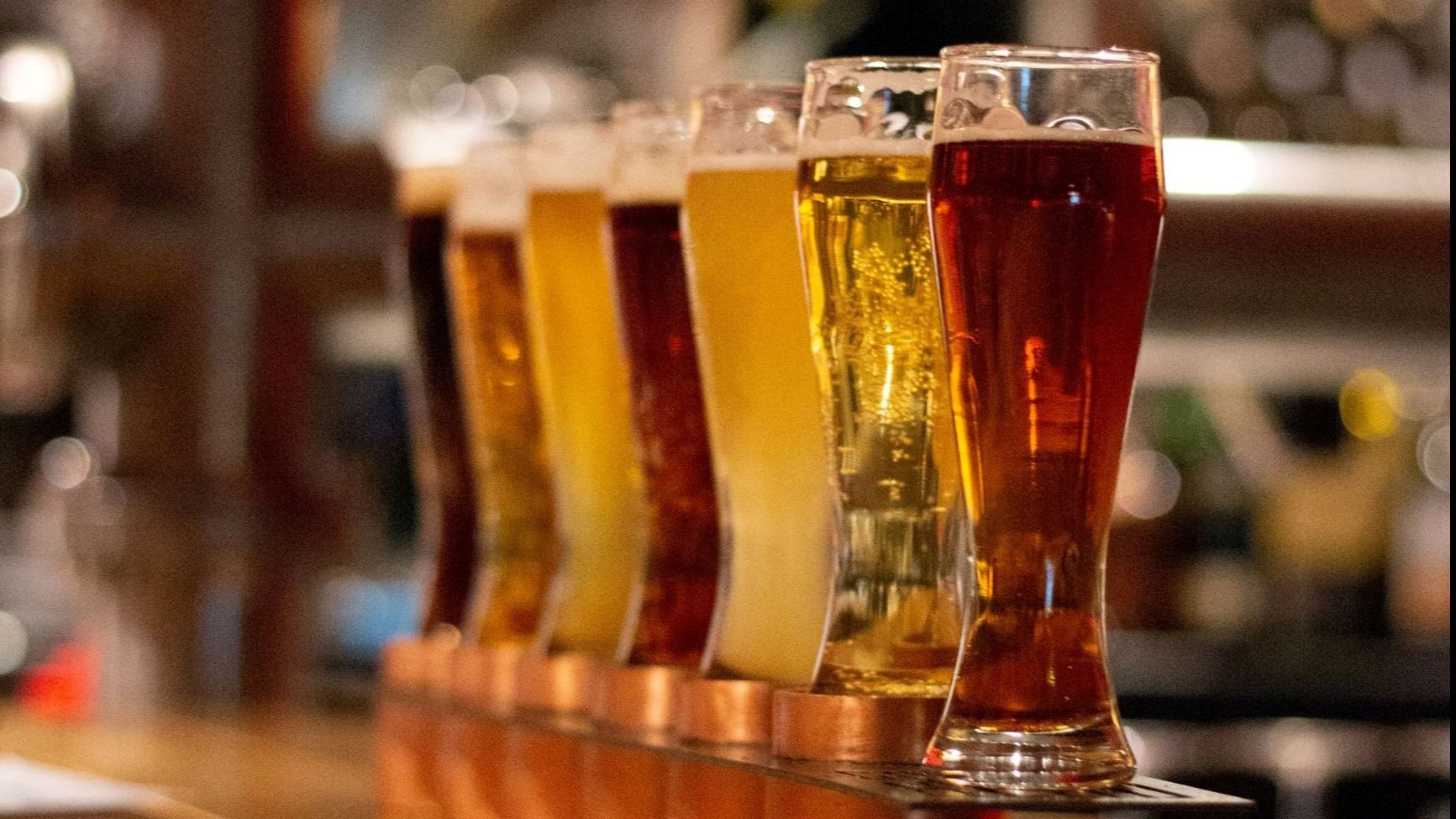 Glasses of beer lined up on a bar