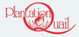Quail International/Plantation Quail